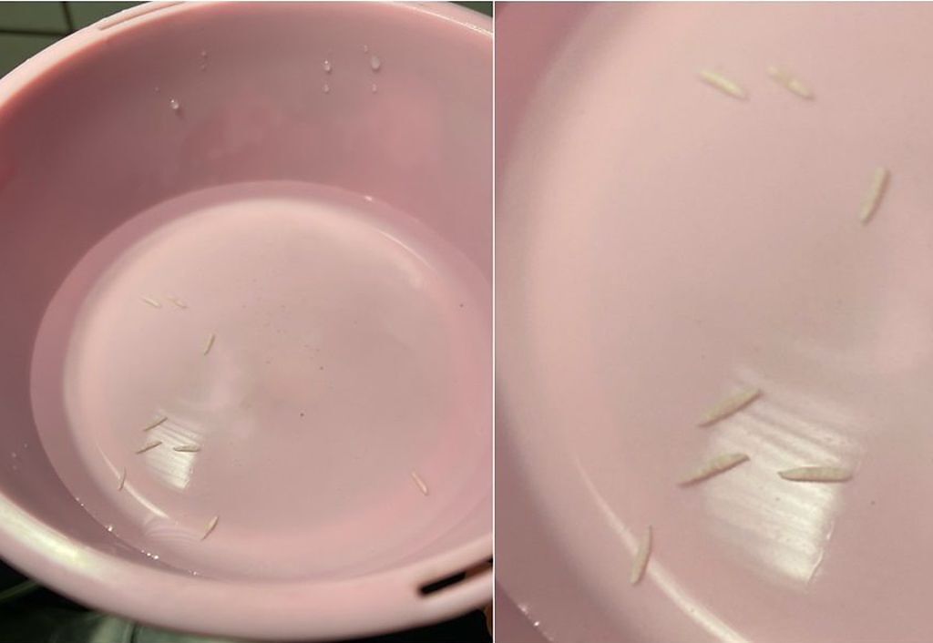 有網友用熱水壺要泡茶時，發現倒出來的水中竟然有「泰國香米」，讓不少人看了頭皮發麻。(圖／翻攝自 PTT) 