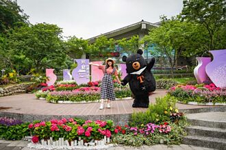 南庄花卉節4月底登場  招募在地團隊來「拈花惹草」