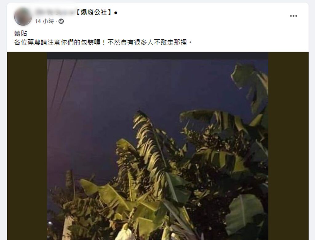 又有網友轉貼去年曾引起網路轟動的香蕉園照片。（翻攝自臉書社團《爆廢公社》）