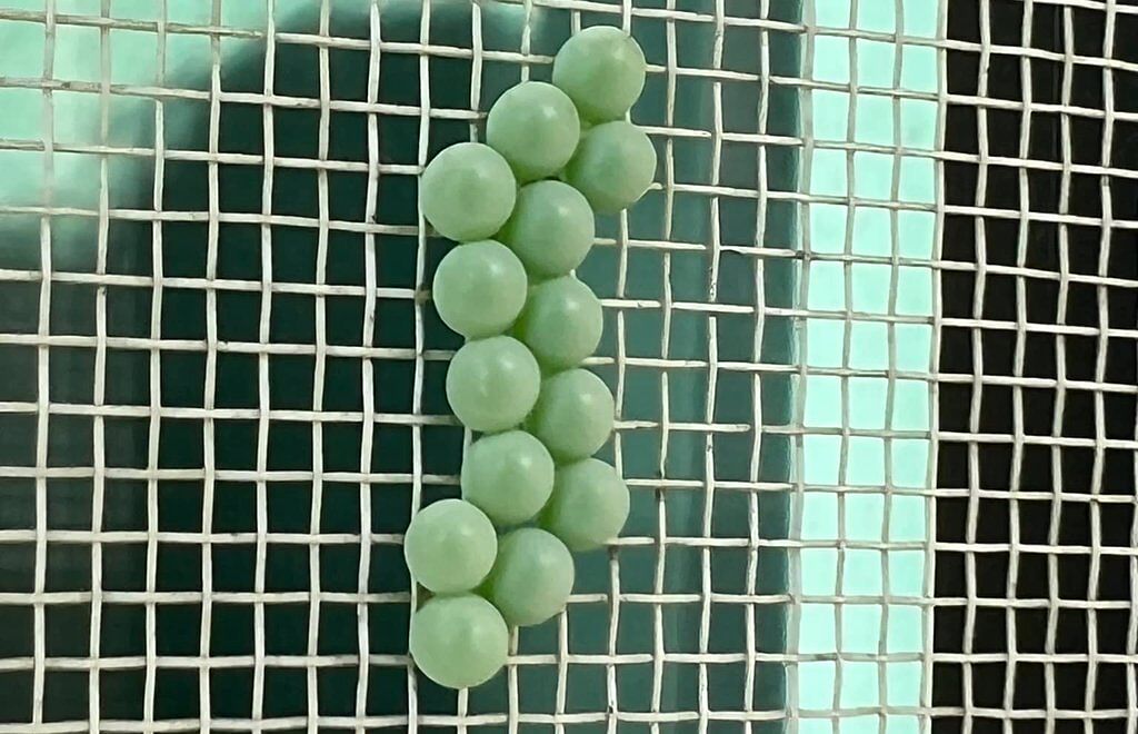 一名網友發現紗窗上黏著14顆青綠色的球狀物。（圖／翻攝自臉書社團爆廢公社）