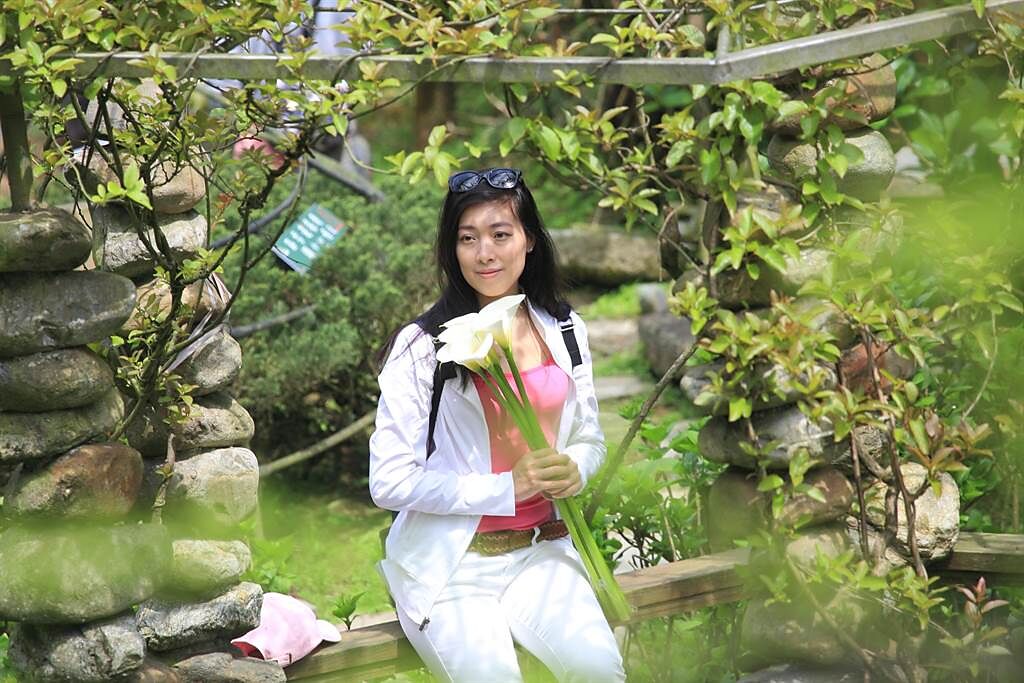 陽明山竹子湖海芋季開跑，第一個週末太陽露臉，民眾一大早就上山賞花，並手持海芋在造景內拍照。（張鎧乙攝）