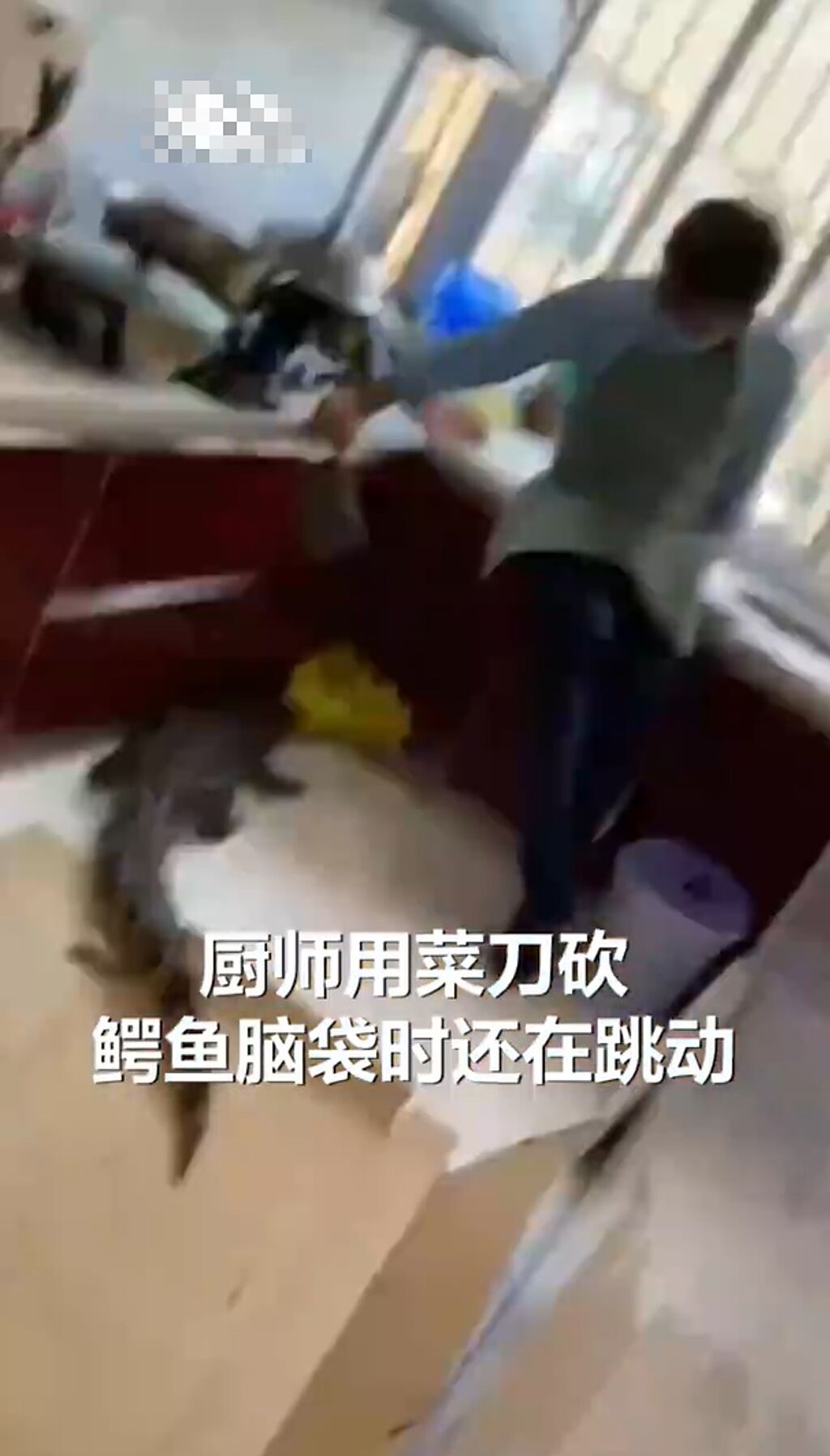 有名陸男子上網買鱷魚料理，朝脖子一刀砍下，鱷魚竟然動了，嚇得他趕緊跳開。（翻攝自沸點視頻）