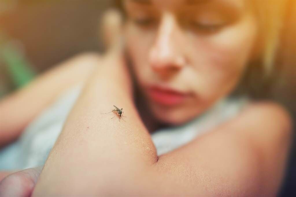 防蚊液天然比較好？專家：最有效的成分是它。(示意圖/Shutterstock)