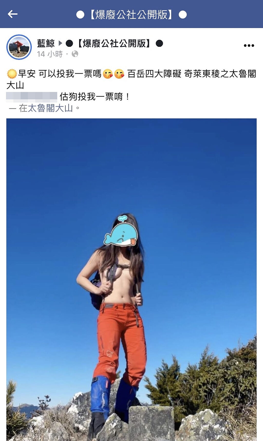 女網友登奇萊東稜太魯閣大山，在山頂拍下「上空照」僅用背帶遮胸，據悉她是參加媒體舉辦的創作者徵選比賽，用此照片吸引投票，而她名叫「藍鯨」。（翻攝自臉書「爆廢公社公開版」）