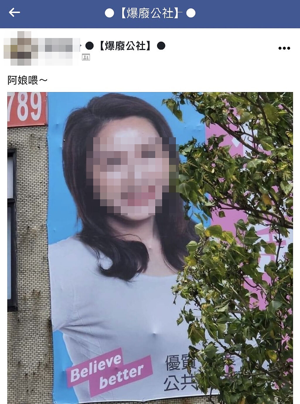 1名網友日前在路上發現某女性選舉候選人的廣告看板上，在胸部處有凸起物，疑似是布簾底下有物體造成激凸錯覺。（翻攝自臉書「爆廢公社」）