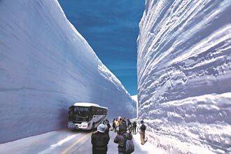 2022年立山黑部正式開山！高18公尺雪壁超吸睛