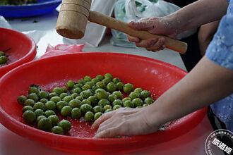 臺北花博農民市集 在台北就能學習脆梅DIY