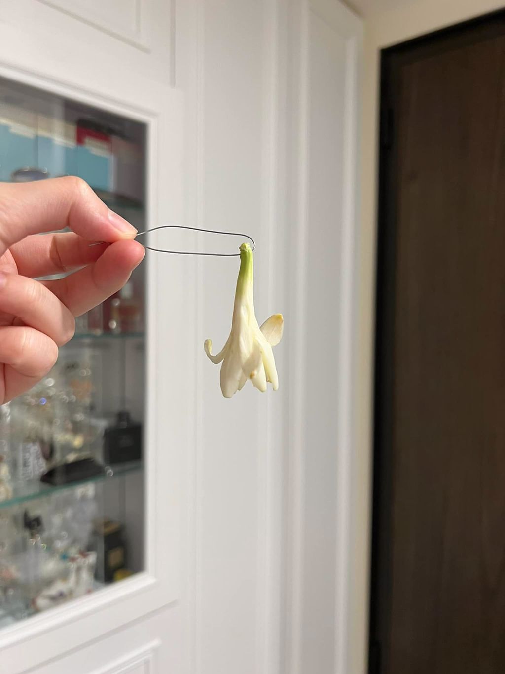 女網友PO出花了50元買到的玉蘭花。(圖/截自臉書爆怨公社)