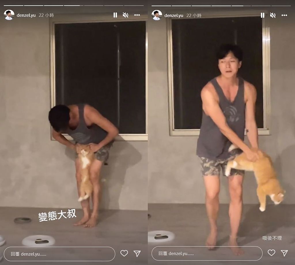 袁艾菲老公「老魚」和愛貓「亞拉岡」的互動影片引發爭議性熱議。（圖／取自IG@denzel.yu）