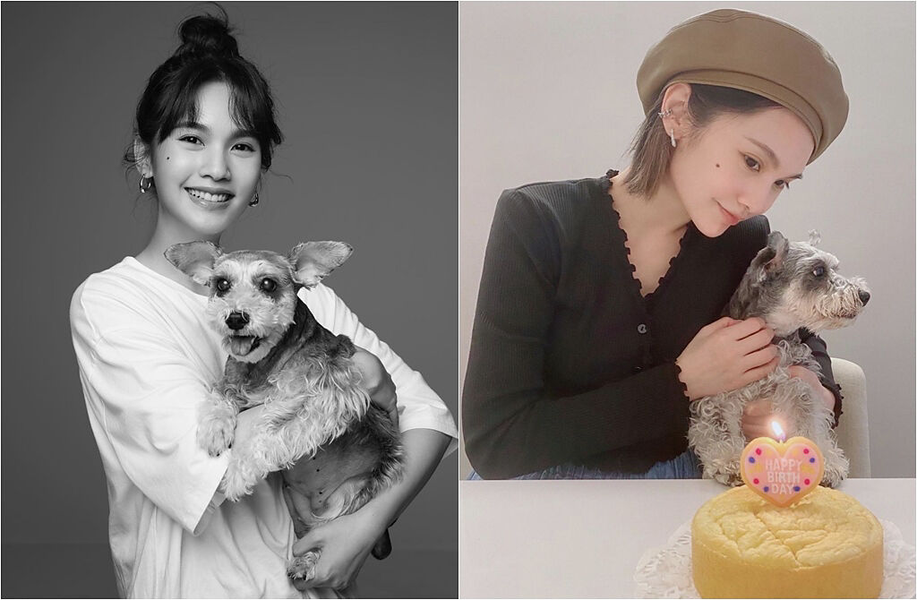 藏了3個月，楊丞琳在狗女兒Yumi生日這天公開她的死訊，透露Yumi早於今年2月15日離世。(取材自rainie77 IG)
