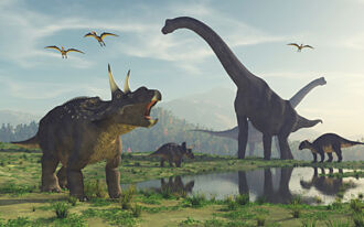 找到毀滅恐龍兇手 6600萬年前琥珀藏答案 NASA也震驚