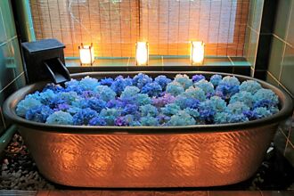 史上最浪漫泡澡！入住京都旅館就有繡球花浴池等著你！