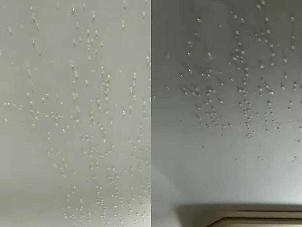 網友被樓下鄰居質疑自家水管漏水，導致鄰居家客廳的天花板出現「1顆顆水珠」，照片中天花板隔板出現整片水珠，但網友一眼看出是「室內反潮」。（翻攝自臉書「爆料公社」）