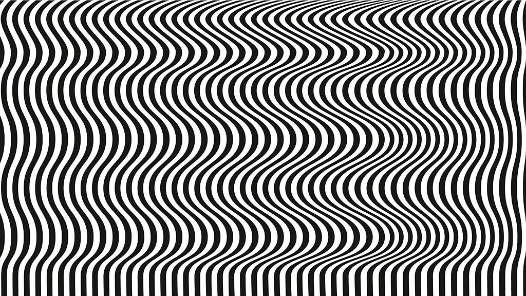 僅1 人才看得到黑白斜線圖藏動物百萬人瘋挑戰 觸快訊