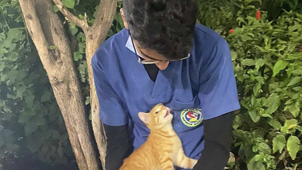 埃及一名男實習護理師在院外休息遇一隻浪貓主動貼近。(圖/翻攝自thedodo)