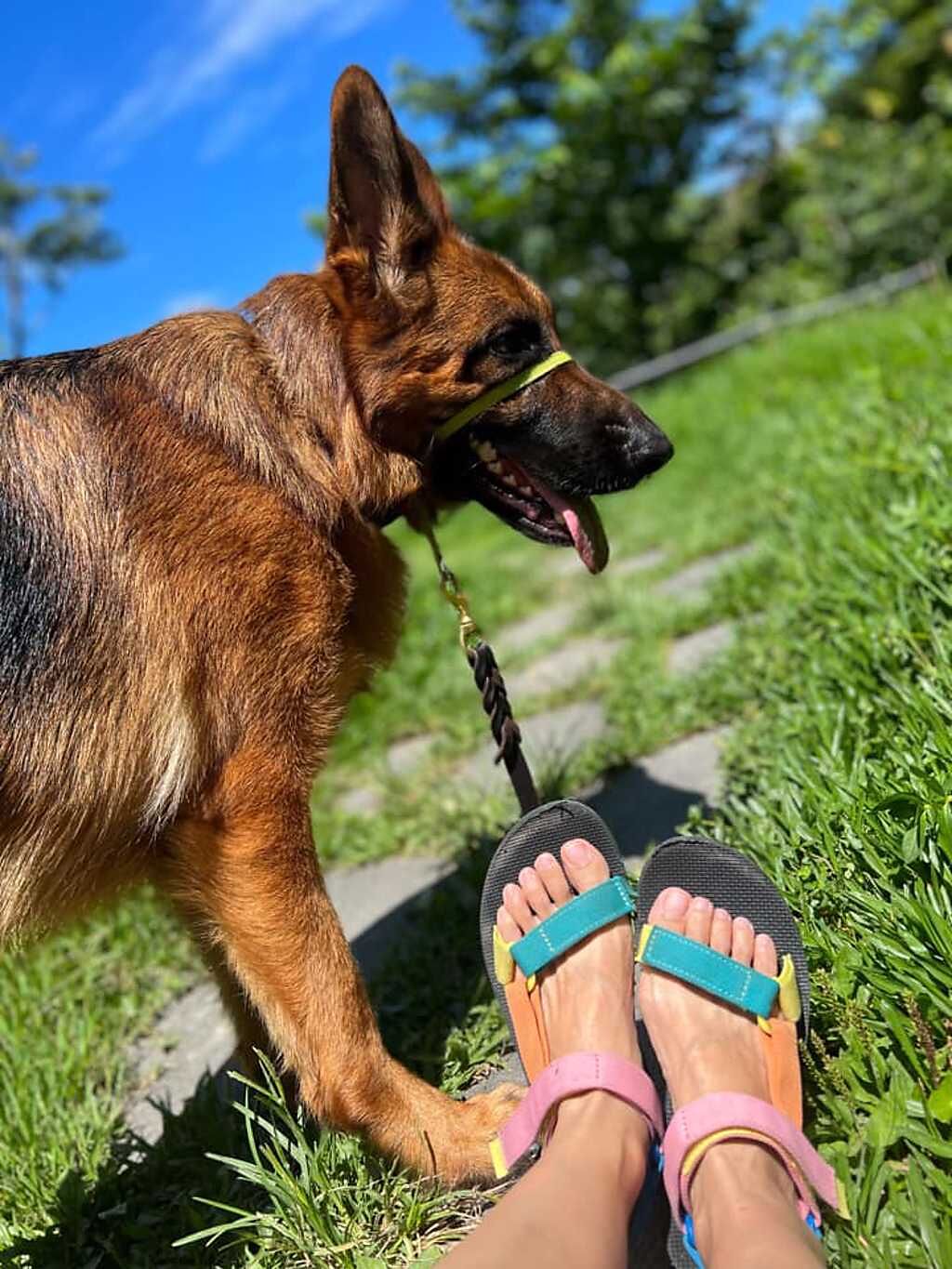 李蒨蓉帶著愛犬到草地玩,腳下涼鞋沒完全包好，導致她的雙腳變成木炭。(圖/李蒨蓉 FB)