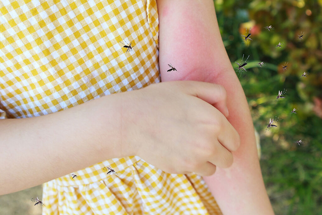 人體捕蚊燈注意：這2時段蚊子最兇  多1動作有效防咬。(示意圖/Shutterstock)