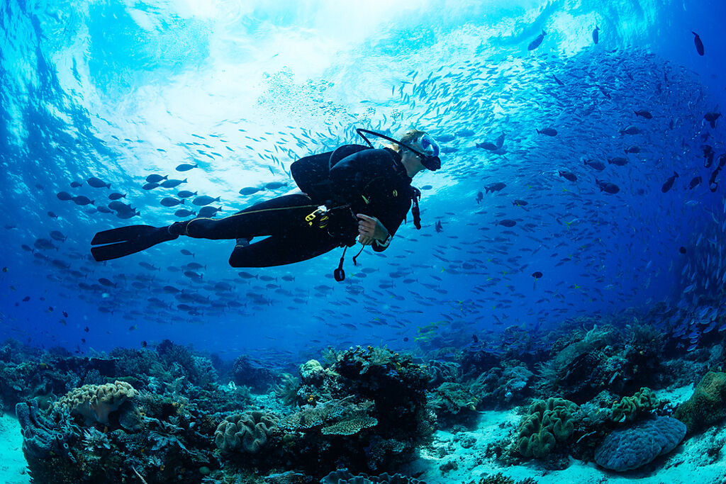 蘭嶼不少潛水聖地，吸引潛客一訪在訪。（示意圖／Shutterstock） 
