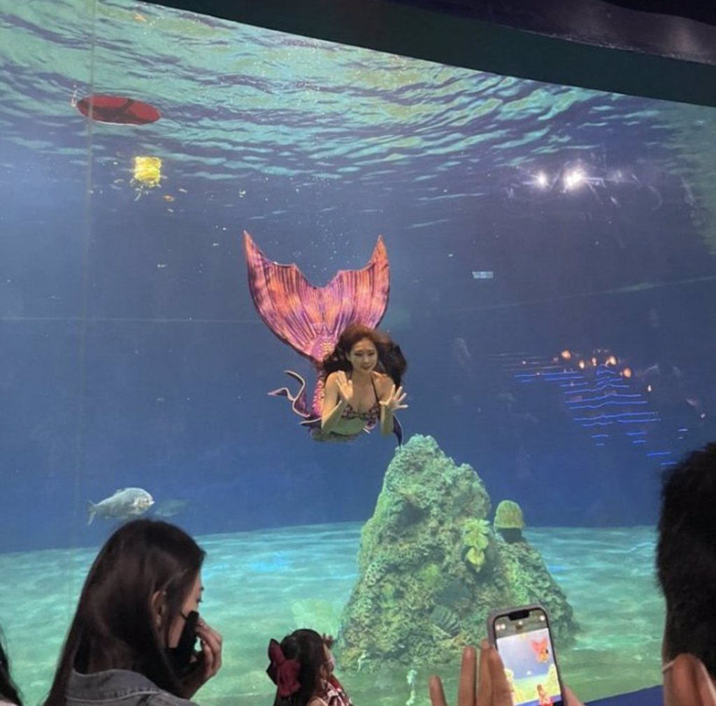 網友分享職業美人魚在水裡是看不清楚的。(圖/翻攝自Dcard)
