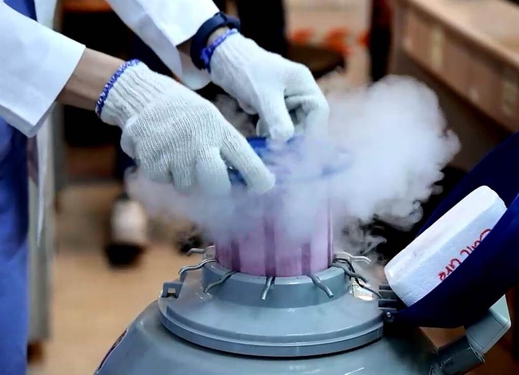 所謂凍精，是將取出的精子冰存在零下196度的液態氮中，目前冷凍精子的技術已非常成熟，解凍之後的復甦率超過70％。（茂盛醫院提供／馮惠宜台中傳真）