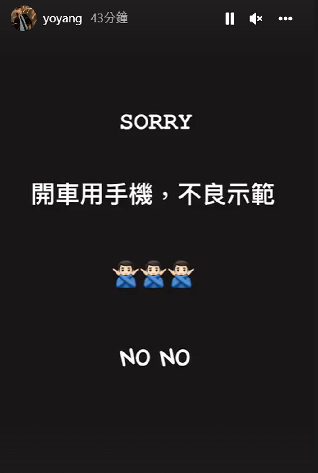 得知開車自拍影片惹議後，楊祐寧隨即發IG限動道歉。(翻攝自yoyang IG)