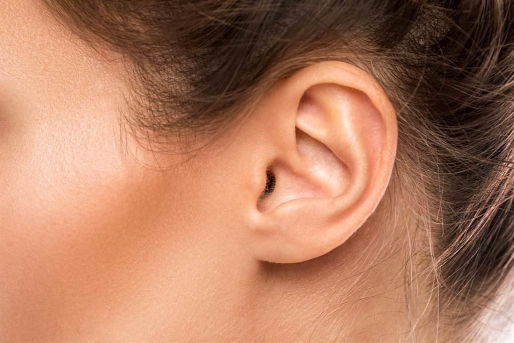 人體耳朵十分脆弱，更嚴重可能會影響到腦部。(示意圖/Shutterstock)
