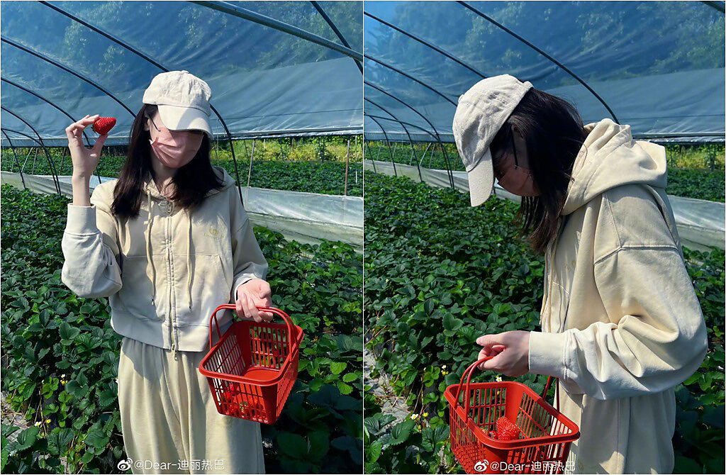 迪麗熱巴分享休假出遊照，採個草莓採取「無死角防曬」，美顏跟好身材全遮了。(取材自迪麗熱巴微博)