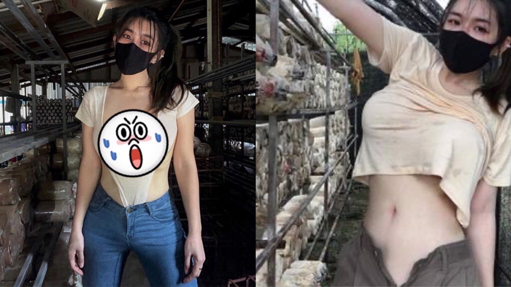 泰國女菇農Mika近日曬出採菇時的穿搭，再度辣翻一票網友。（圖／IG@mikanaka9999）