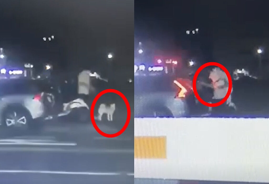 台南一名男子本月初帶狗散步，因狗狗（紅圈處）不願意上車回家，男子便一把抱起狗，放進車廂，未料有遠處民眾目擊這一幕，誤以為有人遭蓋布袋擄走。（警方提供）
