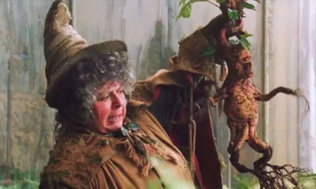 米瑞安瑪格萊斯曾在《哈利波特》中飾演帕莫娜芽菜教授。（圖／翻攝自《哈利波特》劇照）