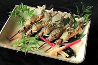 清流冠軍掛保證！全日本最好吃的香魚，在愛知縣東榮町！