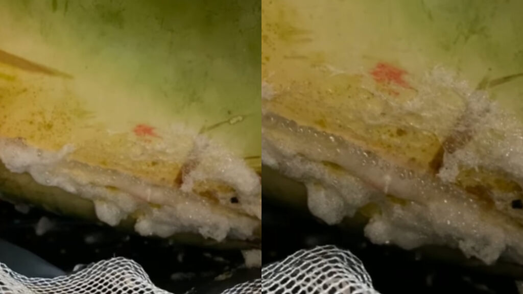 一名網友分享在好市多買的西瓜因為過熟而爆裂流汁。（翻攝自COSTCO 好市多 商品消費心得分享區臉書社團）