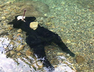 日本忍者河裡施展「水之呼吸」消暑氣 網一看全跪了