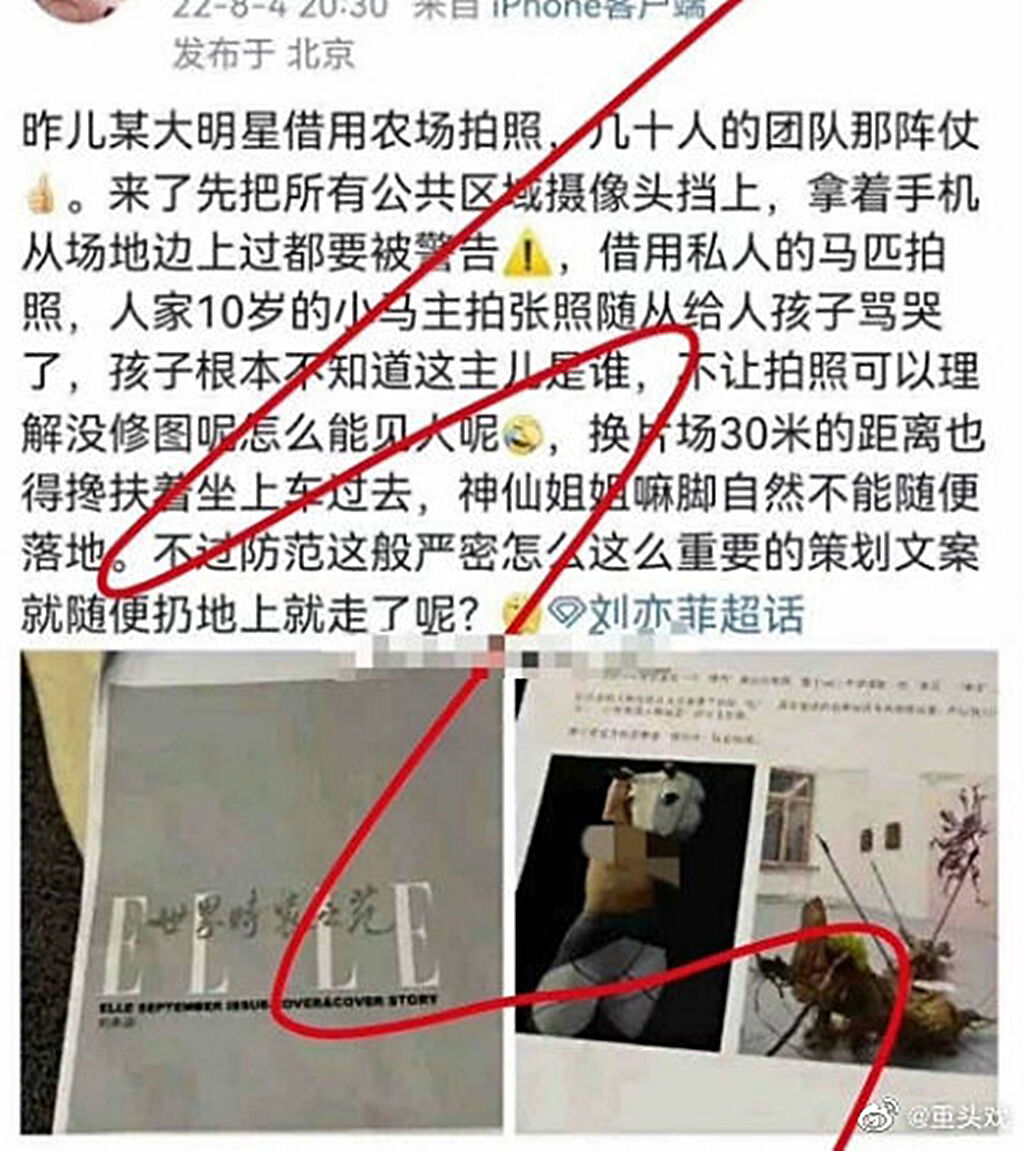 網傳工作人員抱怨劉亦菲耍大牌。（圖／取自新浪娛樂）