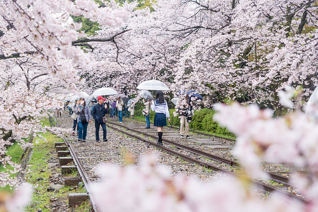 據《疫後的旅遊商機》調查數據顯示，願意出國旅遊民眾最想去的第一名國家為日本。(示意圖/shutterstock)