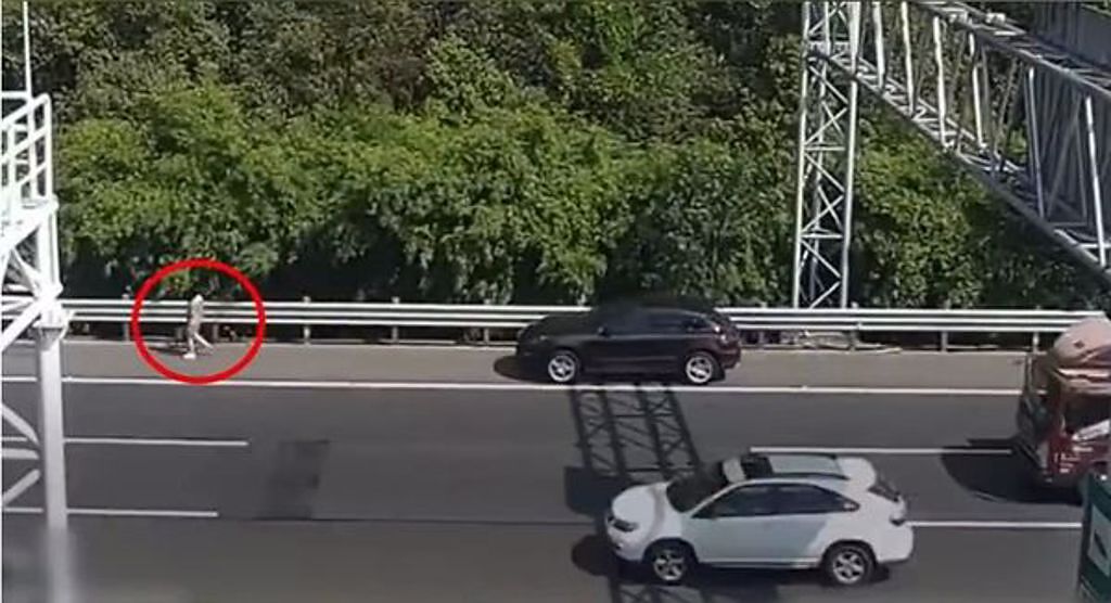 一名短褲正妹在國道上遛狗，路過民眾都看傻。(翻攝自沸點視頻微博)