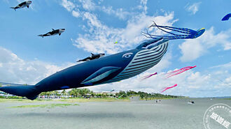 2022新竹市國際風箏節將登場　搭上韓劇話題鯨魚、海豚風箏飛上天，還有LED遙控風箏首度在台亮相