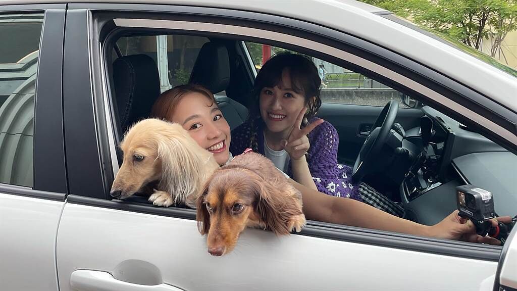吳姍儒開車載吳映潔（鬼鬼）及她的17歲老狗。（TVBS提供）