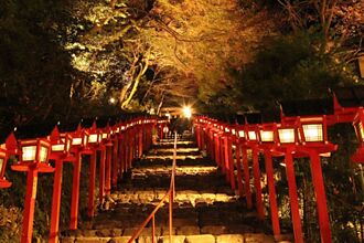 日本邊境開放這裡必去！京都絕景紅葉燈廊11/5開跑