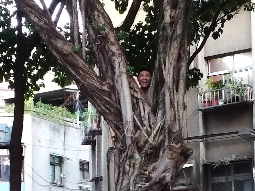 一名人妻分享老公和兒子玩捉迷藏，沒想到一轉眼就爬上3樓高大樹，讓找不到爸爸的兒子當場爆哭不已。（翻攝自爆廢公社二館臉書）