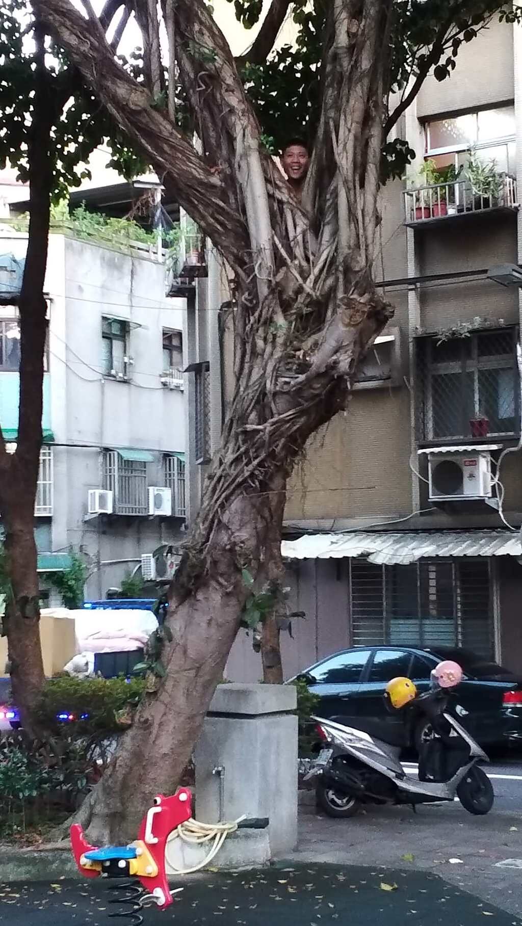 人妻表示，老公玩捉迷藏時爬上3層樓高的大樹，結果一度無法落地。（翻攝自爆廢公社二館臉書）