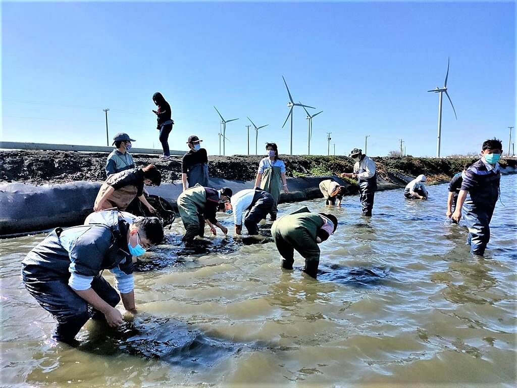 「彰化縣海洋食研生產合作社」投入西海岸生態導覽解說，設計一日漁夫的體驗活動。(中彰投分署提供)