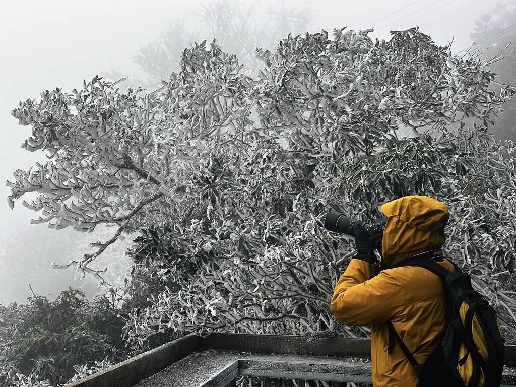 新竹再度下雪，超美照片吸引網友討論。（圖／綠木頭咖啡館提供）
