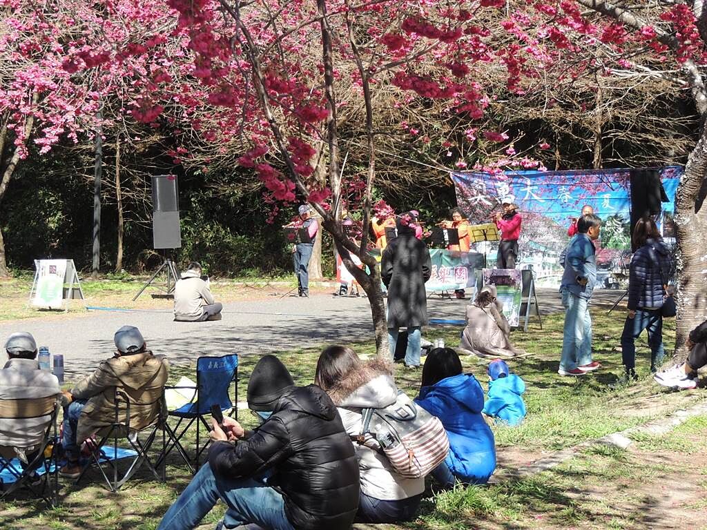 奧萬大舉行「春櫻傳情」音樂會將於11日、12日登場，讓遊客在櫻花樹下聽音樂、野餐、玩手作。（南投林管處提供／楊靜茹南投傳真）