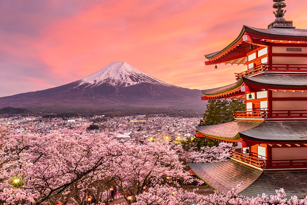 日本櫻花季即將展開，林氏璧寫下4重點供新手參考。（示意圖／Shutterstock）