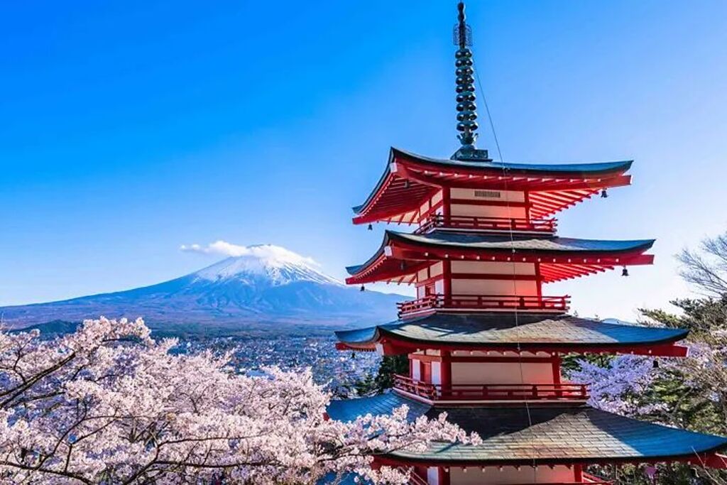 從新倉淺間神社的五層寶塔欣賞富士山、整個城市和盛開的櫻花全景。　圖：Klook／提供