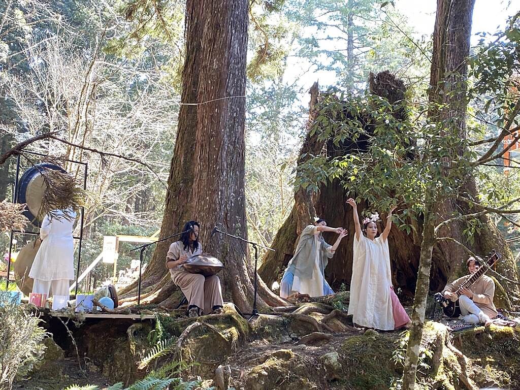音樂舞蹈文創團體在古木參天的巨木群棧道演繹花季與自然的對話。（廖素慧攝）