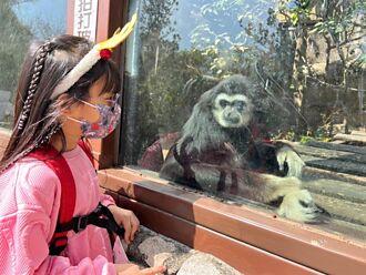 門票再加碼！兒童節5天連假壽山動物園加售1000張現場票