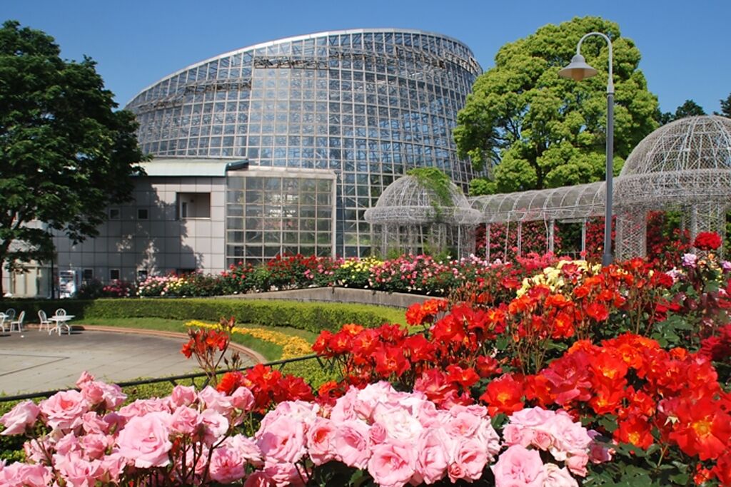 小田原FLOWER GARDEN開放免費入園，適合家族同遊賞花。　圖：西武造園株式會社／來源