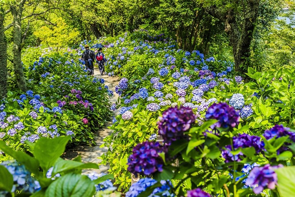 下田公園境內擁有規劃完善的步道，愛美遊客也能挑戰身穿日式浴衣到訪賞花拍美照。　圖：一般財團法人休暇村協會／來源